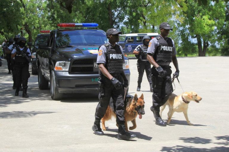 SUA sunt ‘angajate’ în crearea unei forţe de poliţie internaţionale în Haiti