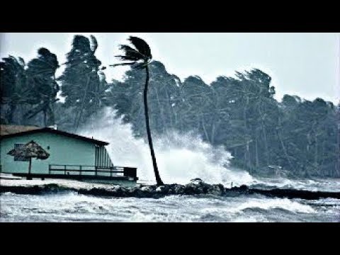 Uraganul Isaias lovește coastele Floridei, focar de COVID-19