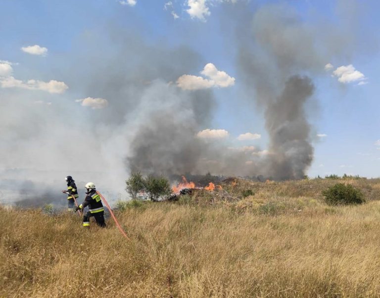 Alarmant! 34 de incendii de vegetație în 24 de ore și 120 de ha distruse