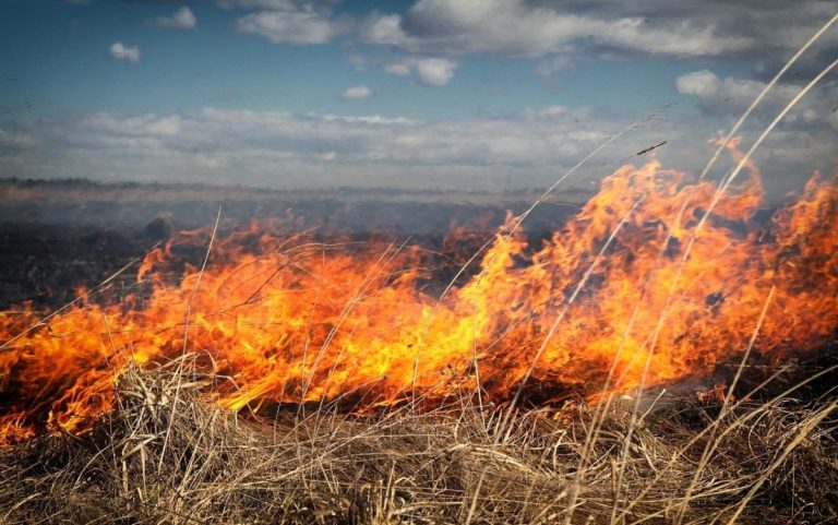 IGSU: Temperaturile ridicate ale aerului cresc riscul producerii și răspândirii focarelor de ardere a vegetației uscate