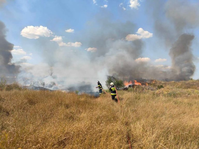 Incendiu de vegeteție uscată pe strada Uzinelor; A fost nevoia de intervenția a 7 echipaje de pompieri