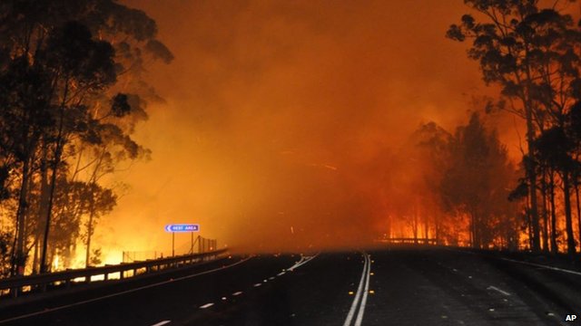 Vântul puternic a intensificat incendiile de vegetaţie din statul australian New South Wales