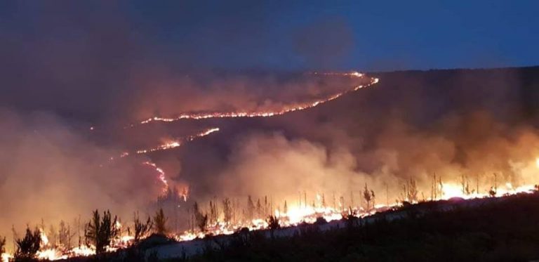 Africa de Sud: Un incendiu a distrus 86.000 de hectare în zona turistică Garden Route