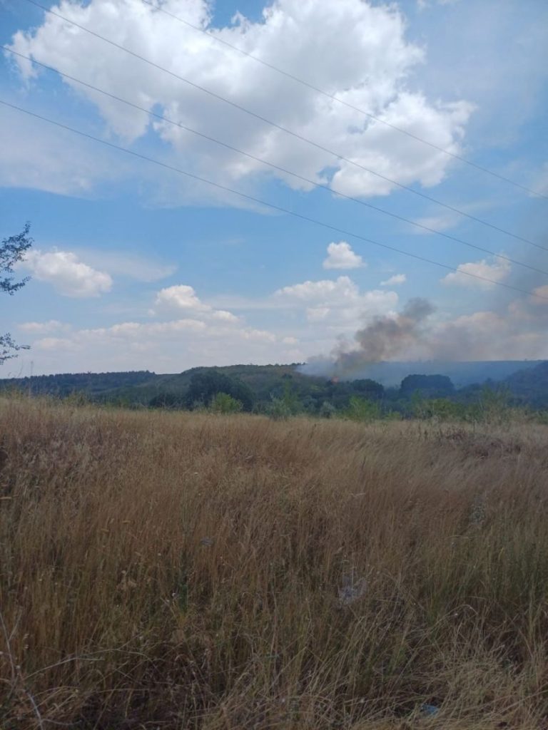 Incendiu forestier la Cahul. Șase echipaje de pompieri implicate
