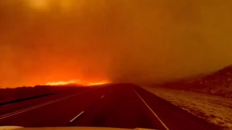 Incendiul de vegetație din Texas s-a extins și a devenit cel mai mare din istoria statului: Sute de mii de hectare ard