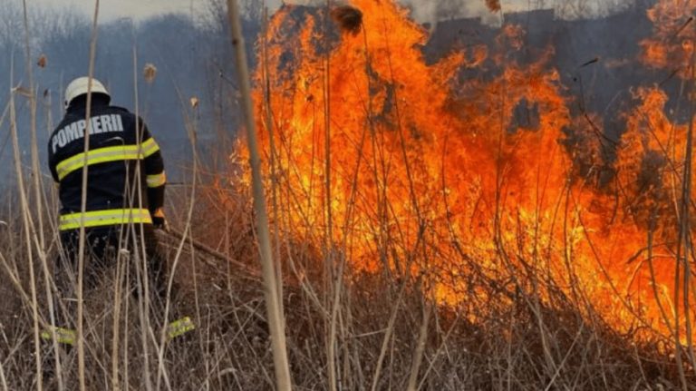 Incendiu de vegetație în Găgăuzia