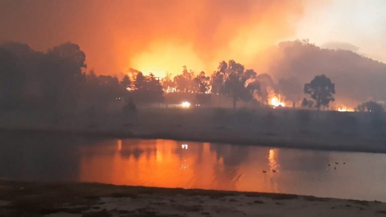 2019, un an cu valori medii în ceea ce priveşte incendiile de pădure, dar cu episoade ‘fără precedent’
