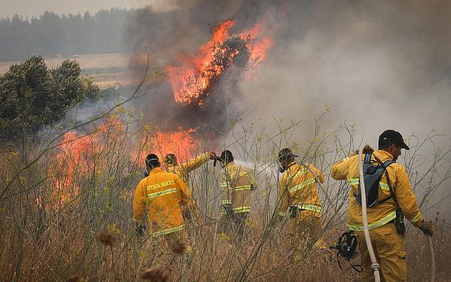 Două incendii majore de vegetaţie au izbucnit în sudul Bulgariei pe fondul caniculei severe