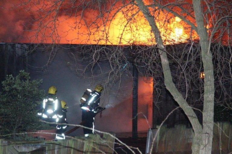 Incendiu la Gradina Zoologică din Londra . Câţiva angajaţi au fost răniţi