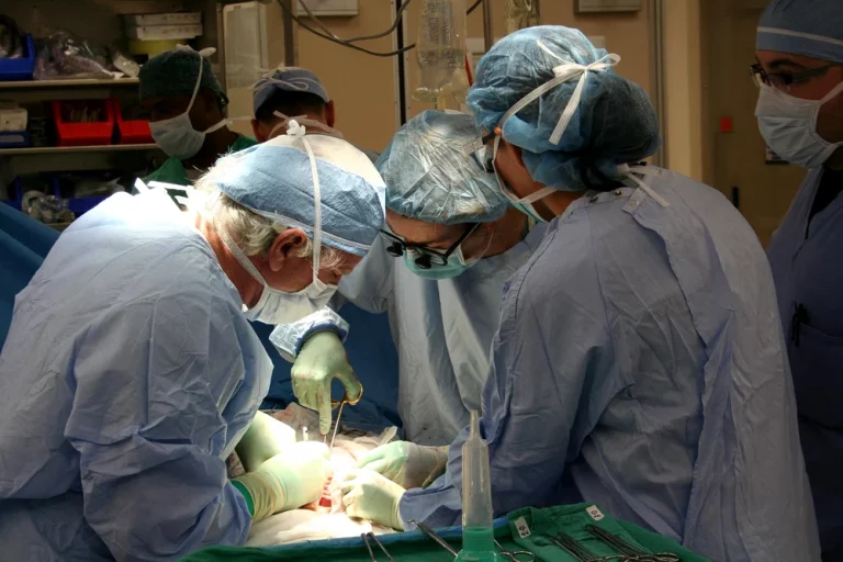 Transplantul de organe de la animal la om ar putea fi posibil cu ajutorul unui medicament, spun oamenii de știință