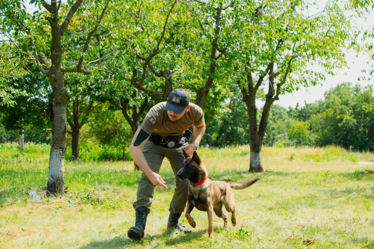Instruire pentru echipele de câini ale Poliției de Frontieră