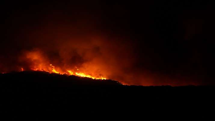 Incendiile de vegetaţie izbucnite pe insula italiană Sardinia, aduse sub control de pompieri