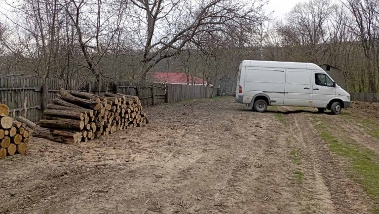 Inspectorii de mediu din Călărași au intensificat acțiunile de verificare și control pentru a combate transportul ilegal de masă lemnoasă în zonă