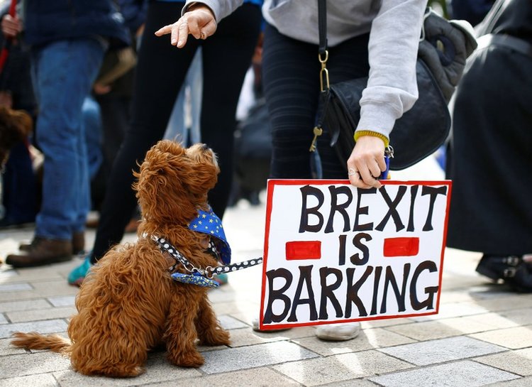 O mie de câini şi stăpânii lor au defilat împreună cu patrupedele lor prin centrul Londrei pentru un al doilea referendum privind Brexit