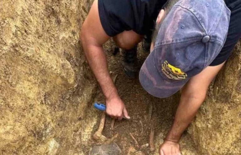 S-au găsit oase de mamut la Șoldănești. Arheologi din mai multe țări studiază teritoriul