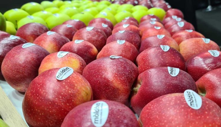 Moldova și-a dublat exportul de mere în România