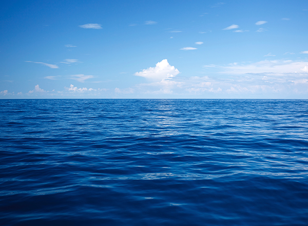 Oceanele lumii sunt tulburate de intervenţia oamenilor. Doar 13% din suprafaţa lor a rămas sălbatică