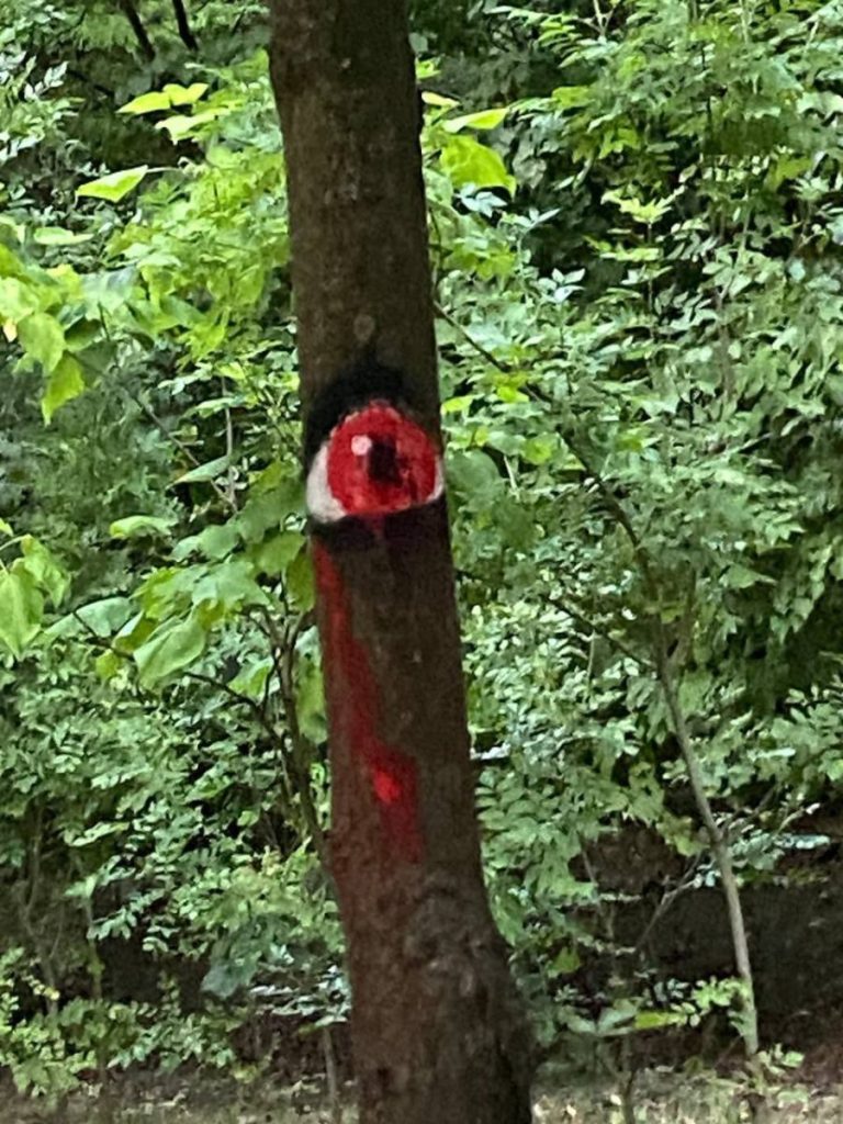 Artă neobișnuită în parcul pădure de la Râșcani