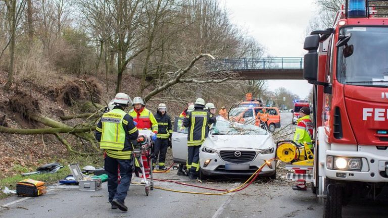 Olanda : Cinci cetăţeni români au murit într-un grav accident auto