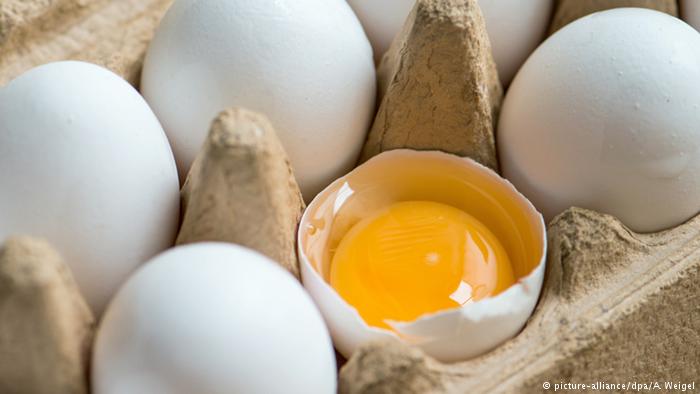 Scandalul ouălor contaminate ia amploare în Italia. S-a decis retragerea masivă de pe piață