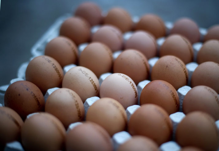 Restricţii la achiziţiile de ouă în supermarketurile din Marea Britanie, din cauza gripei aviare