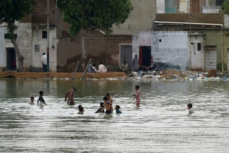 Roiuri record de muşte în oraşul pakistanez Karachi după trecerea musonului (FOTO)