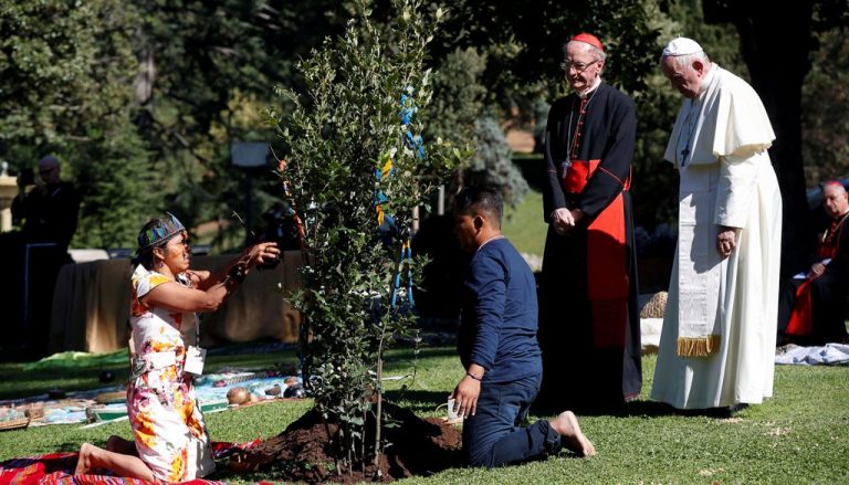 VIDEO – Papa Francisc plantează un stejar la Vatican împreună cu indigeni din Amazonia