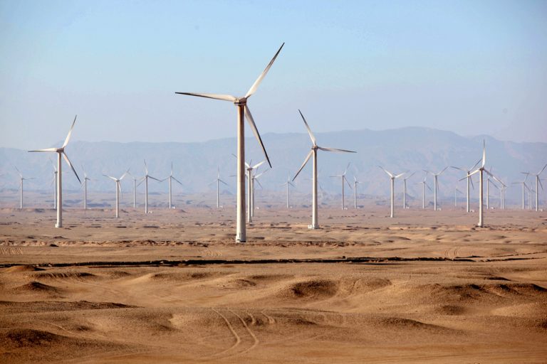 Egiptul şi EAU au semnat, în marja conferinţei COP27, un acord privind construirea unui mare parc eolian