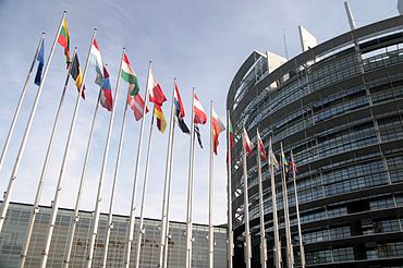 Europarlamentare2024: Candidaţii ‘cap de listă’