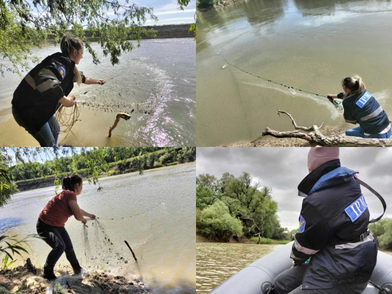 Acțiuni de contracarare a pescuitului ilicit în perioada de prohibiție pe râul Prut. Ce amenzi riscă oamenii