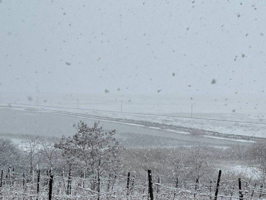 photo 2023 12 23 12 58 56 2