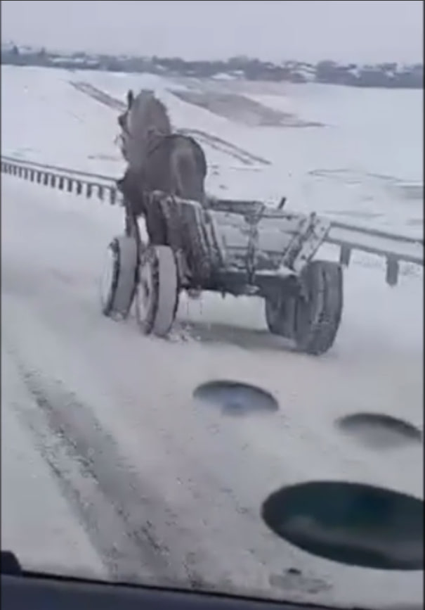 VIDEO/ Un cal cu căruța, fără stătân, a fost surprins pe șoseaua Chișinău-Rezina