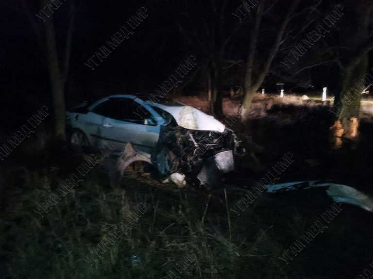 FOTO/ În Dubăsari, un șofer beat a fugit de poliție și s-a lovit într-un copac