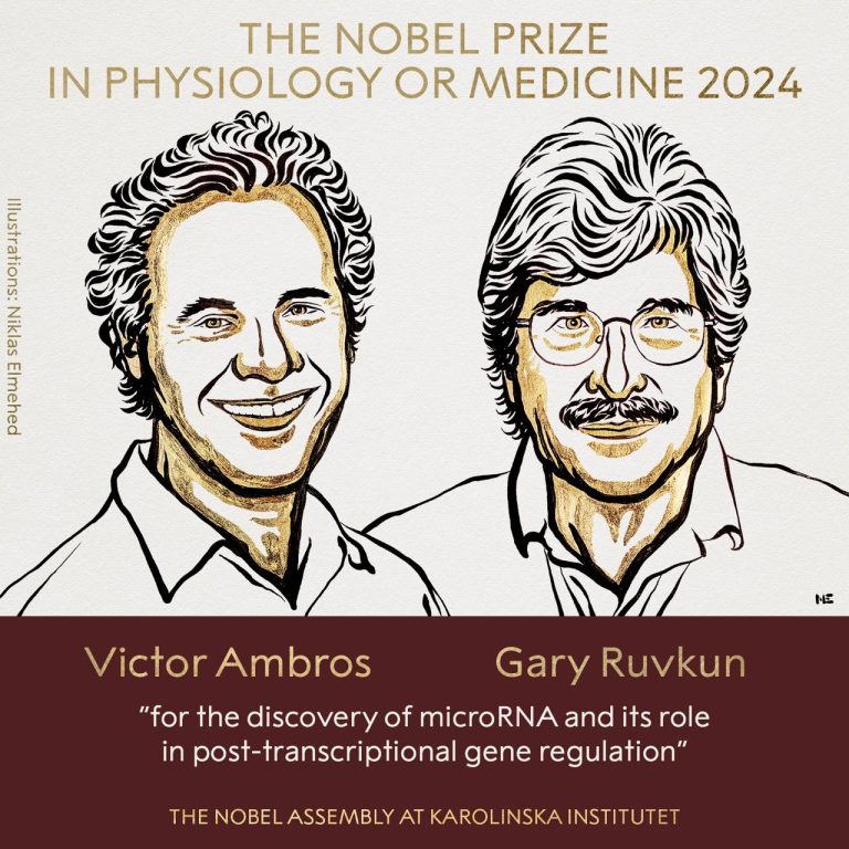 Viktor Ambros și Gary Ruvkun au câștigat Premiul Nobel pentru Fiziologie și Medicină