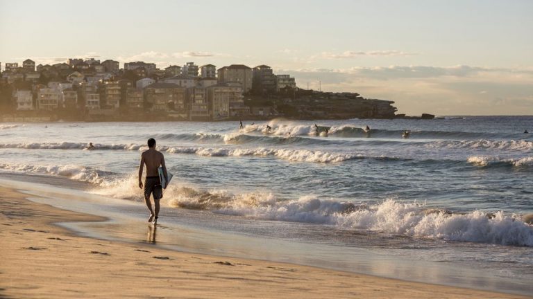 Plaja Bondi din Sydney închisă temporar, din cauza numeroşilor rechini prezenţi în apă