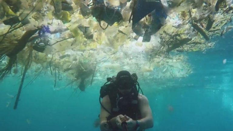 Plastic, plastic, plastic, atât de mult plastic! Un scufundător britanic s-a filmat înotând în largul insulei indoneziene Bali printre gunoaie din plastic