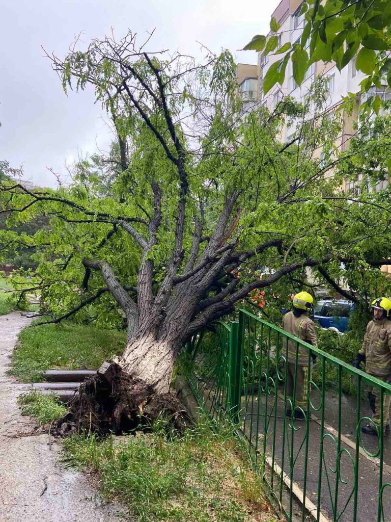 Copaci prăbușiți și linii de electricitate rupte. Consecințele intemperiei la Chișinău