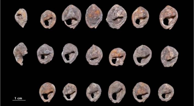 ‘Cele mai vechi podoabe din lume’ au fost descoperite în Maroc