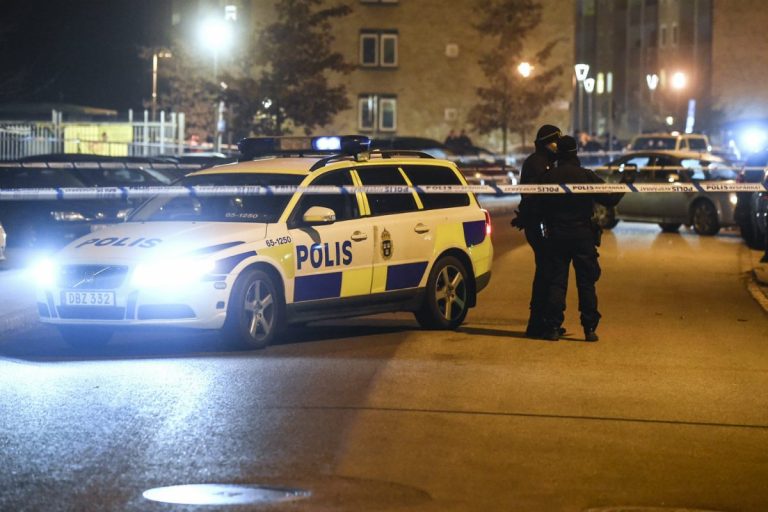 Bărbatul ucis într-un centru comercial din orașul suedez Malmö era ţinta atacului armat (poliție)