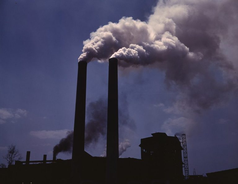 Companiile care ignoră schimbările climatice riscă să fie pedepsite de piețe