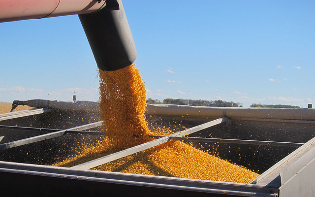 Vânzarea primei încărcături de cereale exportate de Ucraina a fost ANULATĂ