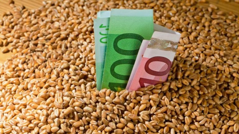 Ministerul Agriculturii a organizat o platformă digitală, dedicată analizei preţurilor la cereale