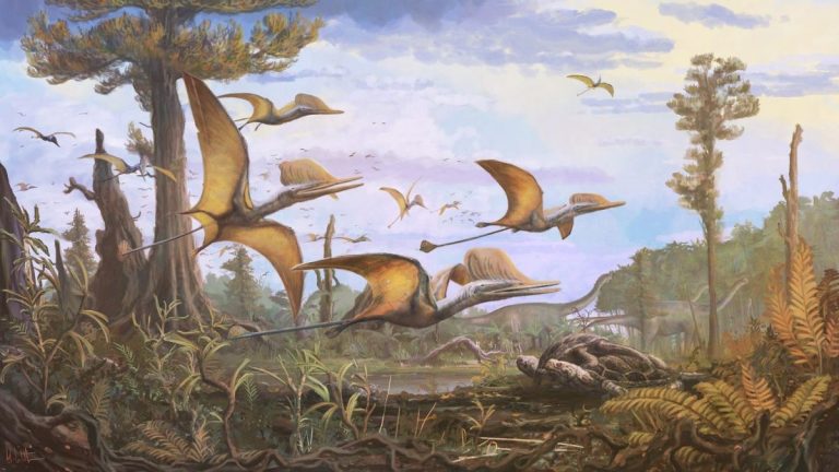 O nouă specie de pterozaur, descoperită pe Insula Skye din Scoţia