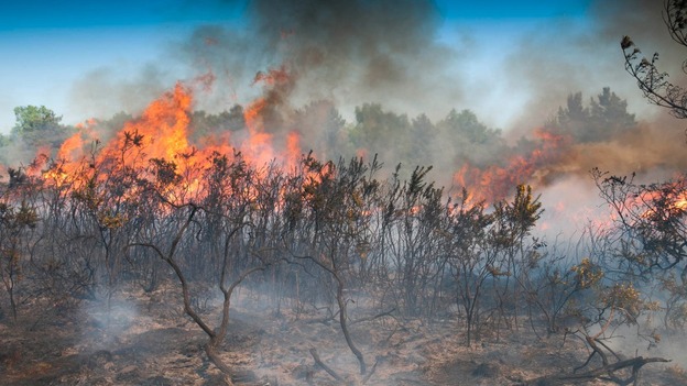 Cantitatea de dioxid de carbon produsă în iunie de incendiile din zona arctică, echivalentă cu emisiile anuale ale Suediei(ONU)