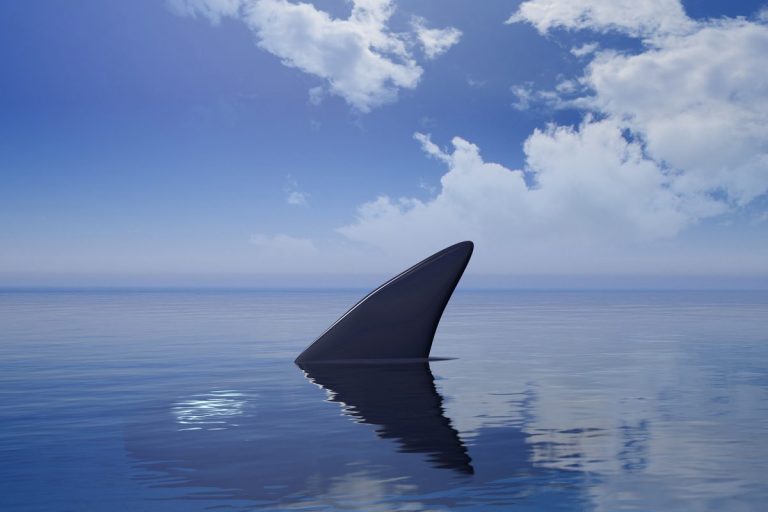 Un bărbat ar fi murit în urma atacului unui rechin în Australia de Sud