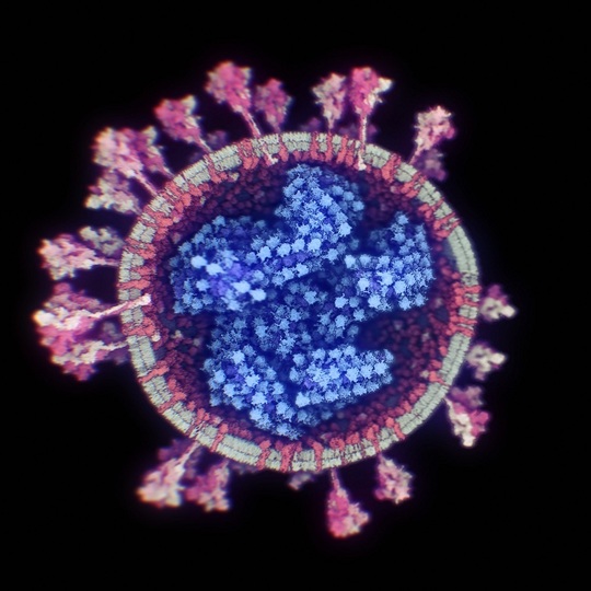 Fost responsabil medical american: Acest virus a început să se răspândească prin septembrie-octombrie 2019 la Wuhan, în China