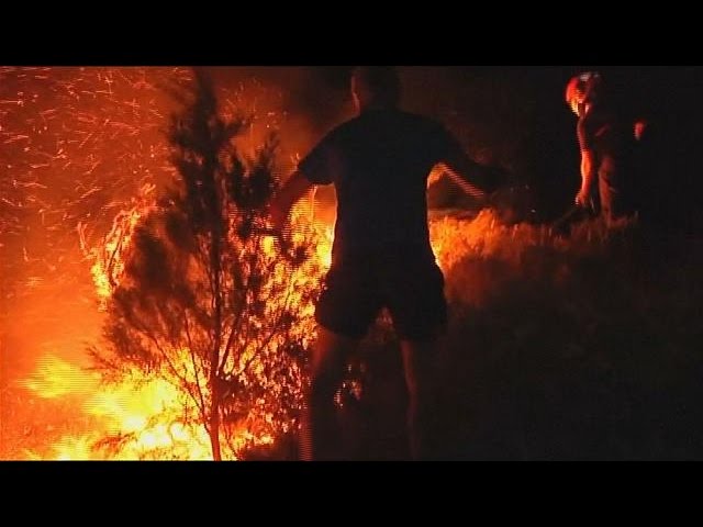 Spania, PÂRJOLITĂ de incendiile de vegetaţie. Zeci de mii de hectare au fost distruse