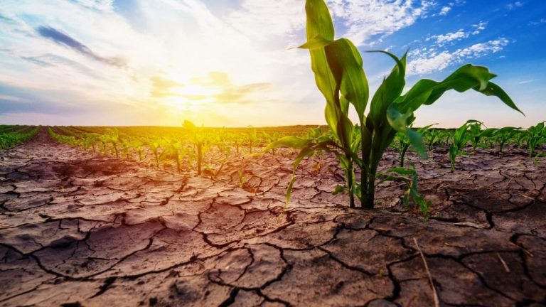 Guvernul spaniol a adoptat un plan de peste 2 miliarde de euro împotriva secetei