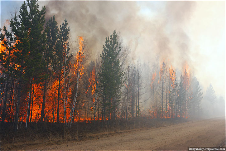 Sute de persoane au rămas fără adăpost în urma incendiilor de stepă şi de pădure din Siberia