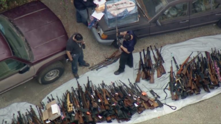 Peste 1.000 de arme descoperite într-un cartier rezidenţial din Los Angeles
